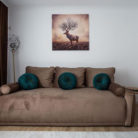 Apartament Victoria Сату-Маре Экстерьер фото